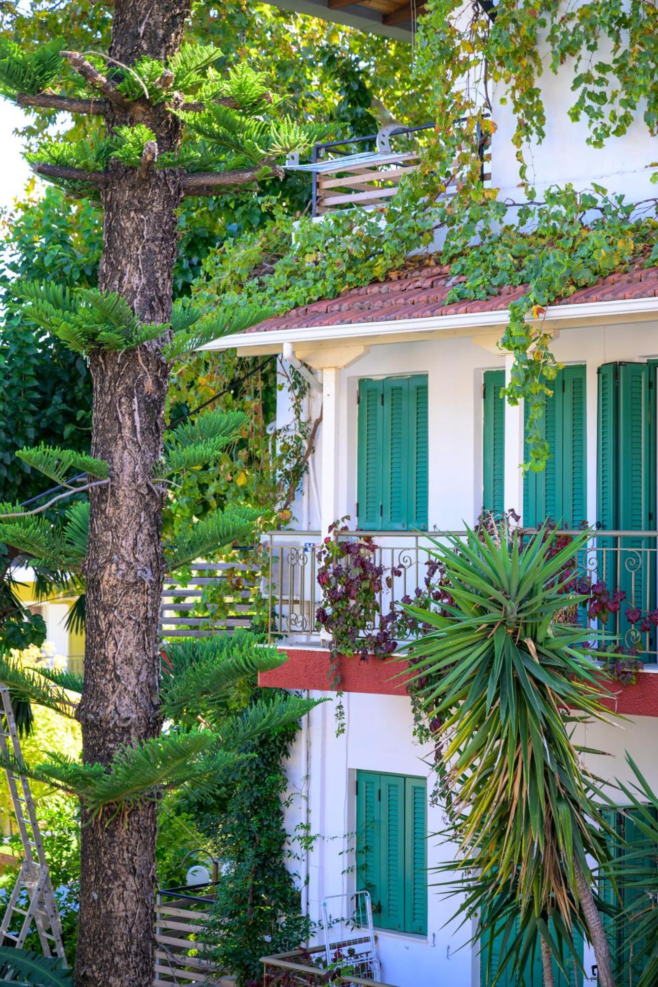 Ionian Paradise Nydri  Dış mekan fotoğraf